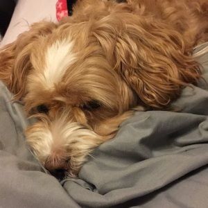 Meet your Posher, Ashlynn